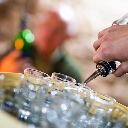 Wellness Penzion-Restaurace U Pstrosa Vsemyslice Екстер'єр фото